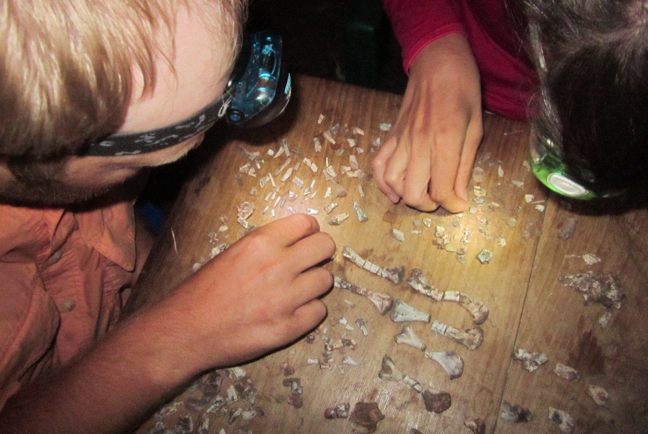 Michelle Stocker and Sterling Nesbitt piecing together a small skeleton of an extinct reptile in Tanzania in 2012.