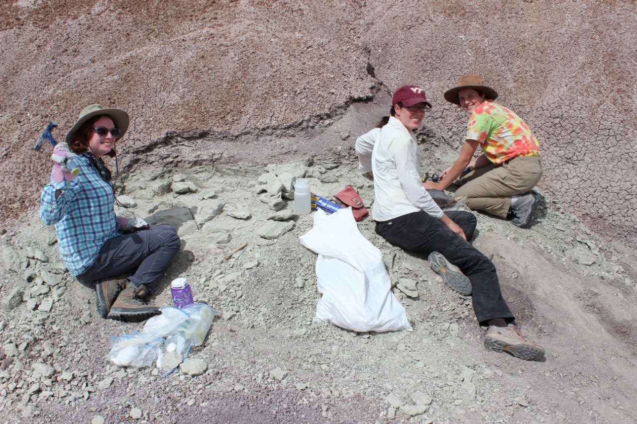 The vertebrate paleontology research group from Virginia Tech collecting fossils in Arizona in 2015.