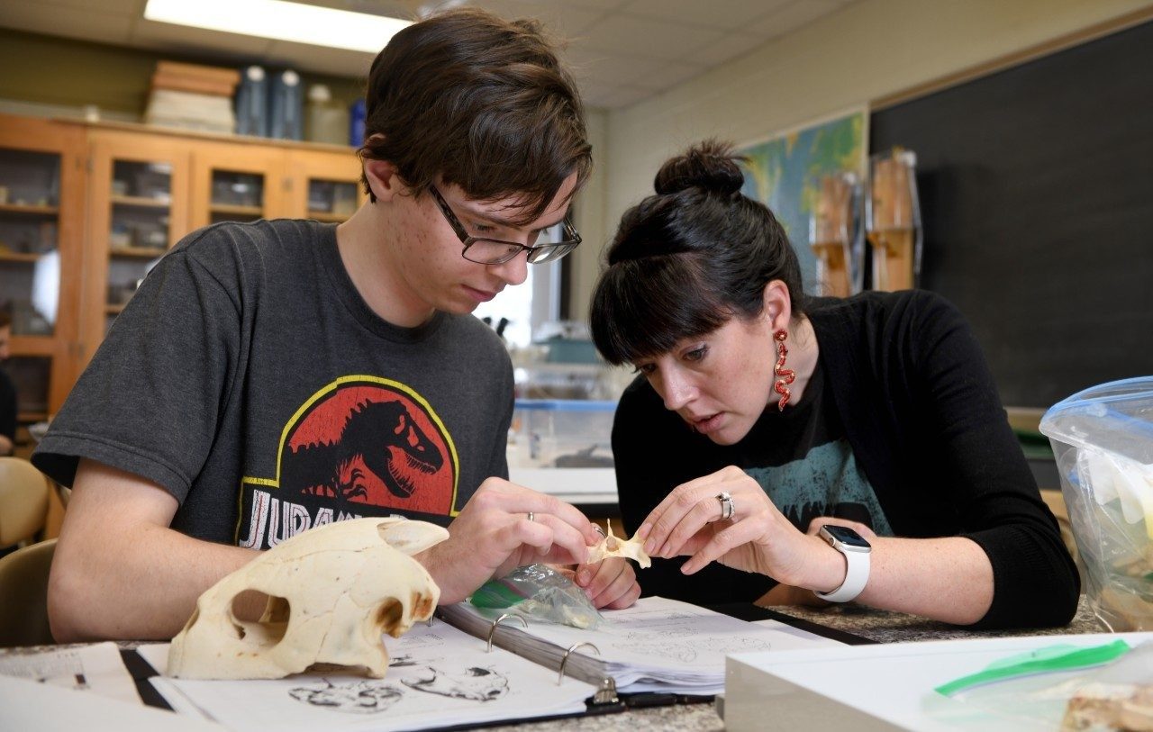 Close-up of two people in the lab looking at a small skull bone